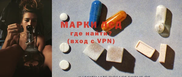 шишки Дмитровск