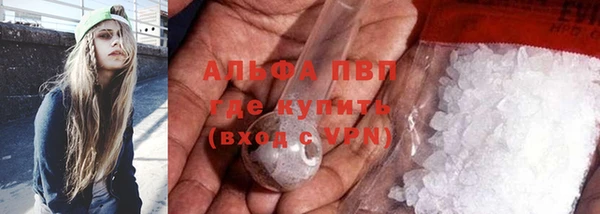 шишки Дмитровск