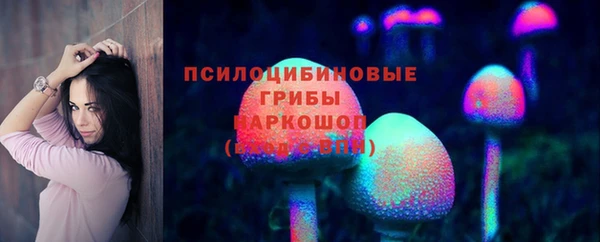 дурь Дмитров