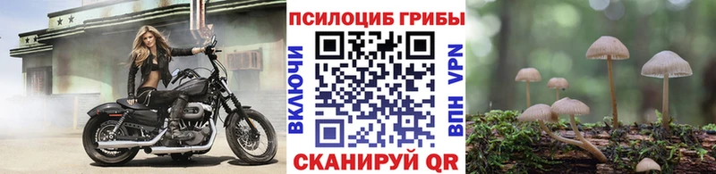 Псилоцибиновые грибы Psilocybine cubensis  мориарти наркотические препараты  Волхов 